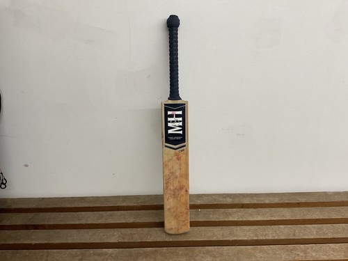 English willow cricket - cricket, bat
