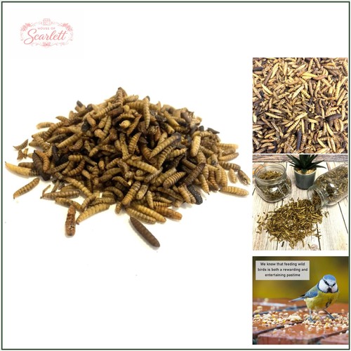 Dried calciworms 1kg - calciworms,