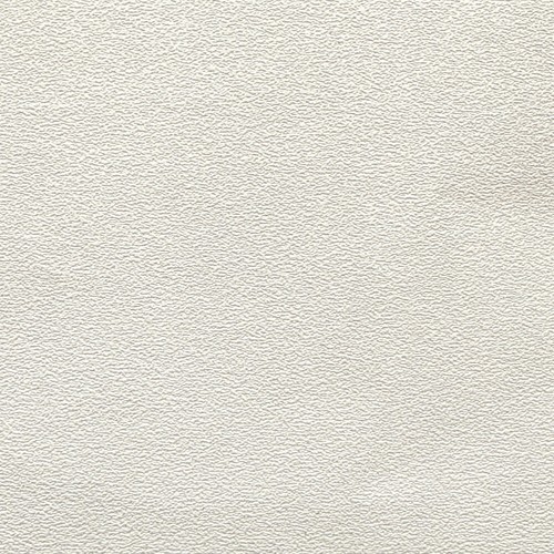 Caravan ceiling wallboard - caravan,