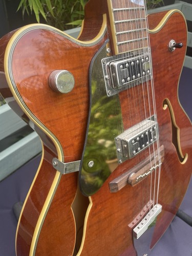 Alden electric guitar great - alden,