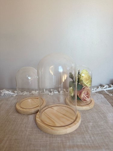 Glass dome cloche bell - glass,