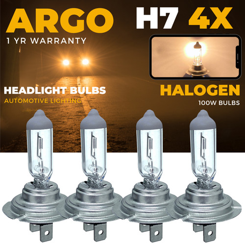 Halogen bulbs 100w - h7,