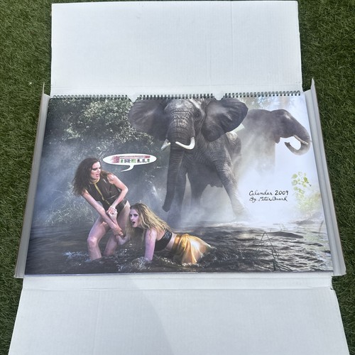 Vintage 2009 pirelli calendar - vintage,