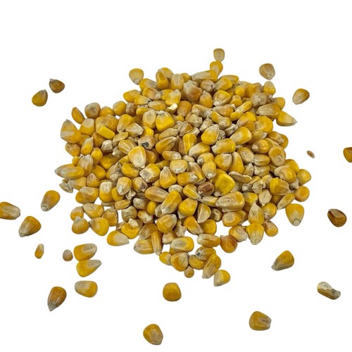 Whole maize seed carp - -,