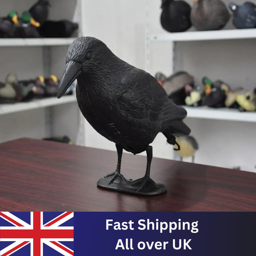 Decoy crow bird raven scare - raven,