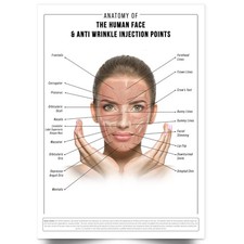Anti Wrinkle Face Anatomy