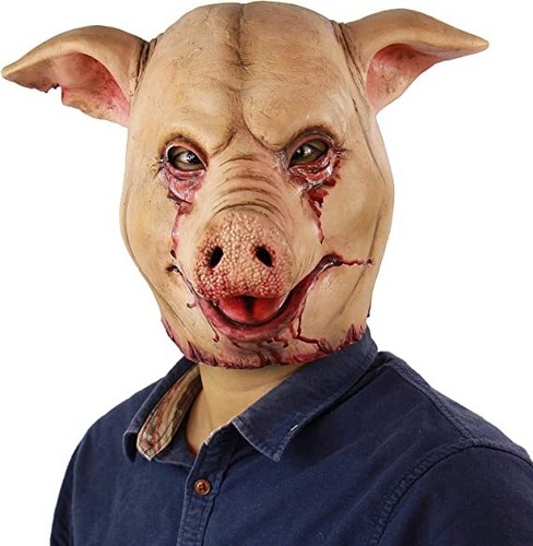 Adult latex slaughtered - adult, pig