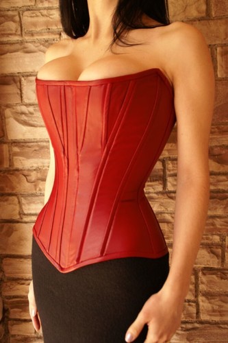 Overbust waist training heavy - training,