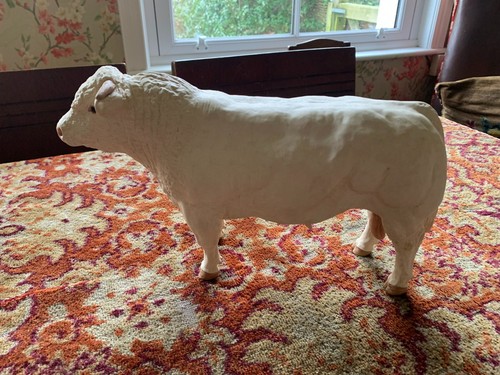 Shebeg bull blonde - shebeg,