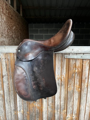 Ideal working hunter - hunter, saddle
