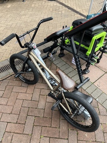 Wethepeople entity gold custom - entity,