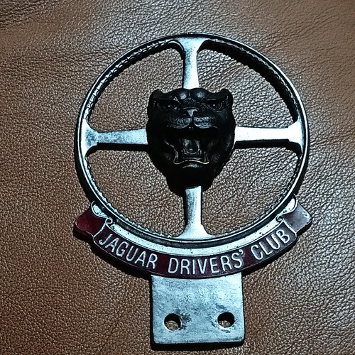 Jaguar drivers club classic - jaguar,