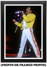 Queen Freddie Mercury Rock
