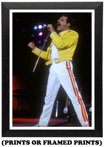 Queen freddie mercury - queen,
