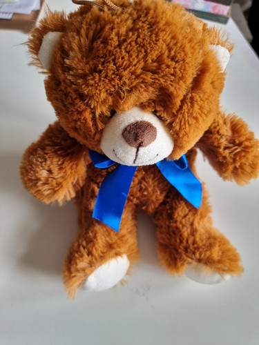 Cuddle crew teddy - teddy, soft