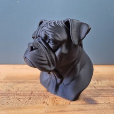 American Bulldog Bust