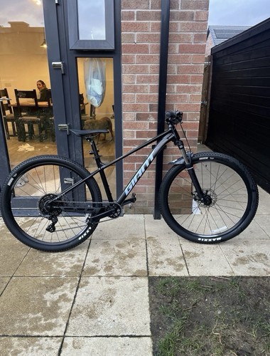 Giant talon 2024 large - giant,