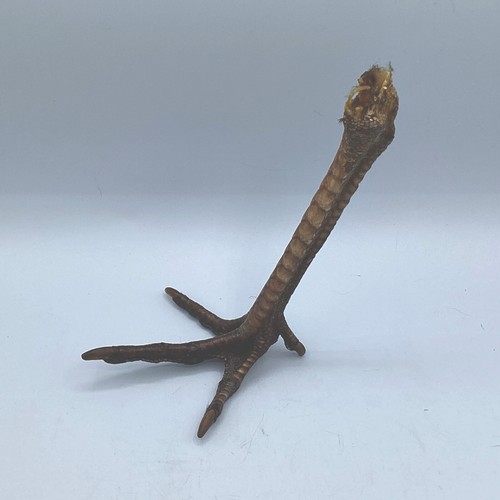 Turkey foot santeria draft - turkey,