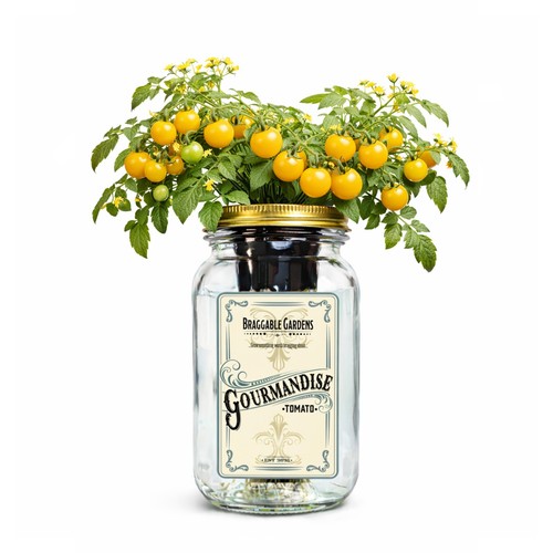 Gourmandise yellow cherry - gourmandise,