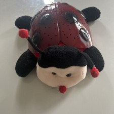 Twilight Ladybug Star
