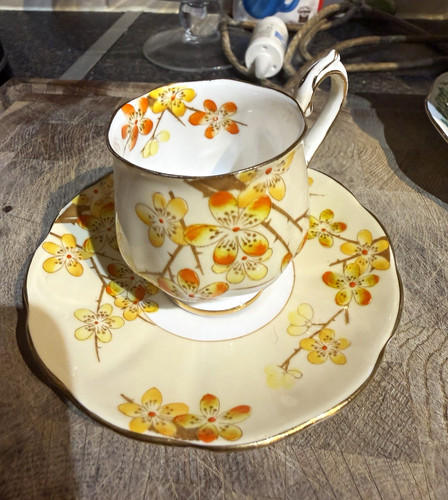 Royal albert blackthorn bone - albert,