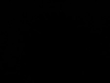 Vintage Brown Mink Fur Stole