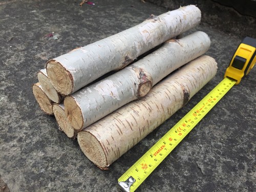 Decorative silver birch logs - silver,