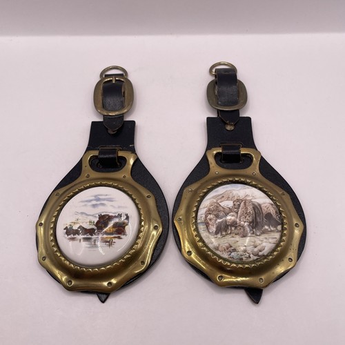 Vintage horse brasses with - vintage,