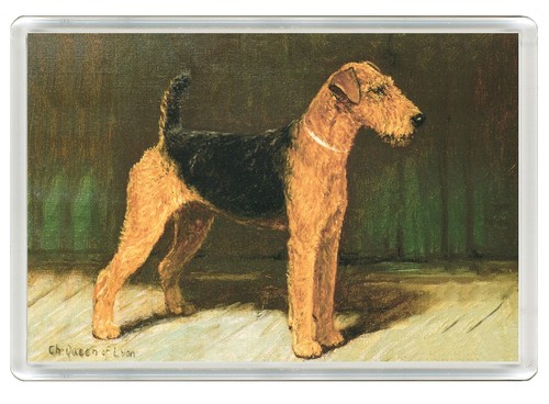 Airedale terrier dog - terrier, fridge