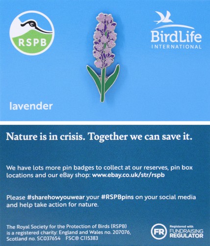 Rspb pin badge bird - pin,