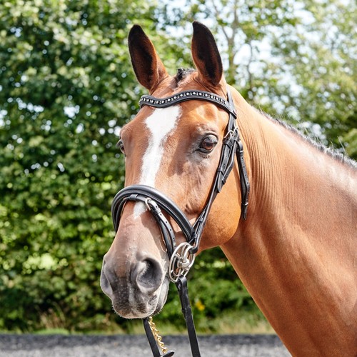 Whitaker lynton flash bridle - whitaker,
