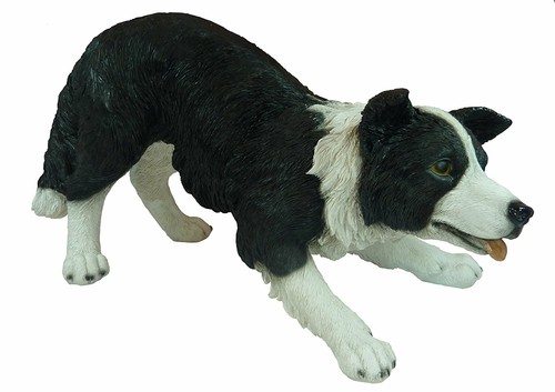 Real life medium sheepdog - life,