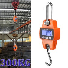 Mini Crane Scale Weight 300kg