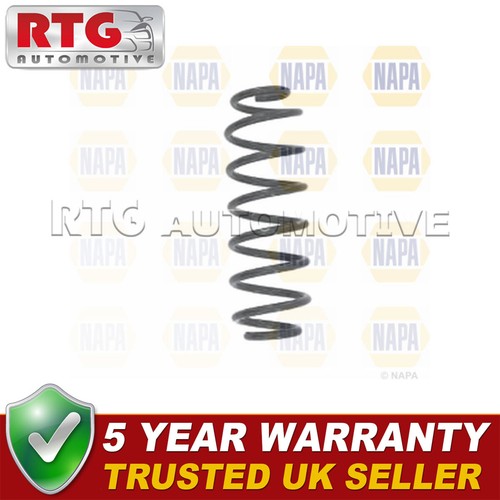 Rear suspension coil spring - rear,