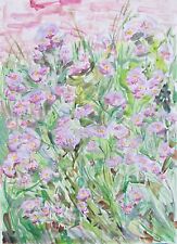 Swan River Purple Daisy Garden