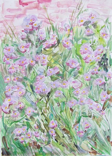 Swan river purple - river, garden