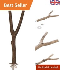 Ergonomic Y Shape Bird Perch - 20cm of Natural Comfort for All Cage Birds