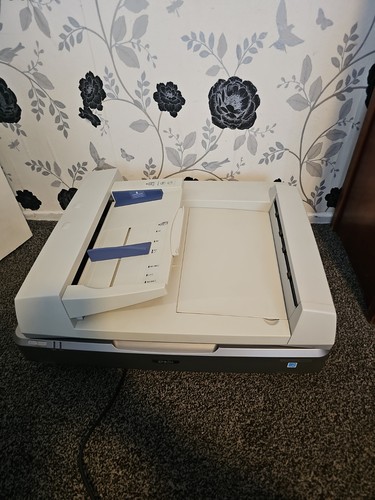 Epson 10000xl photo film - ,