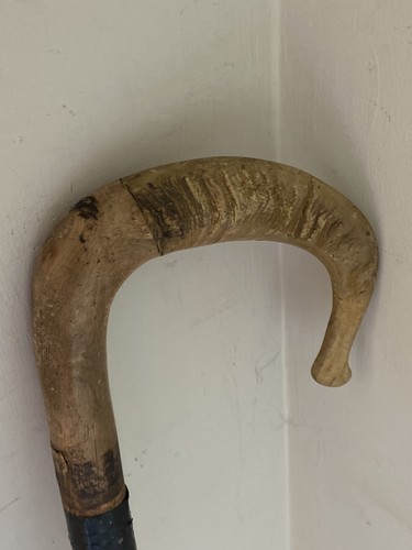 Rams horn shepherds crook - rams,