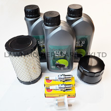 Briggs and Stratton Intek