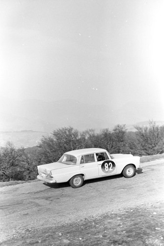Walter schock moll rolf - walter,