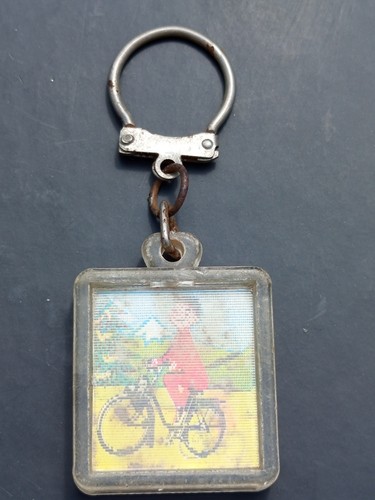 Visiomatic keychain - visiomatic,