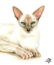 ✤ ORIGINAL Oil Portrait Painting EUROPEAN BURMESE CAT Artist Signed Kitten Art