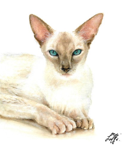Original oil portrait - oil,
