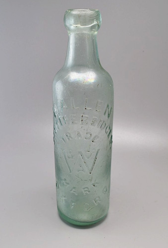 Allen bottle oxford - w.,