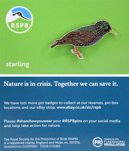 Rspb pin badge niic - niic, starling