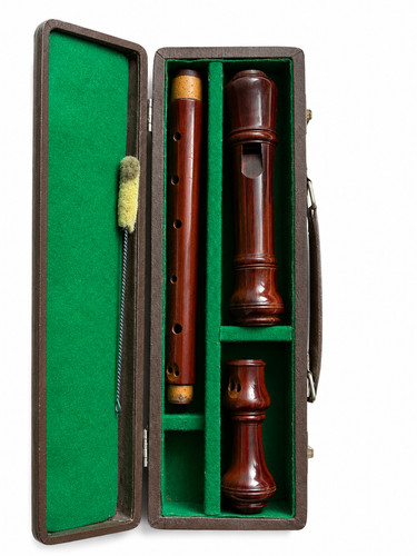 Paetzold recorder alto special - recorder,