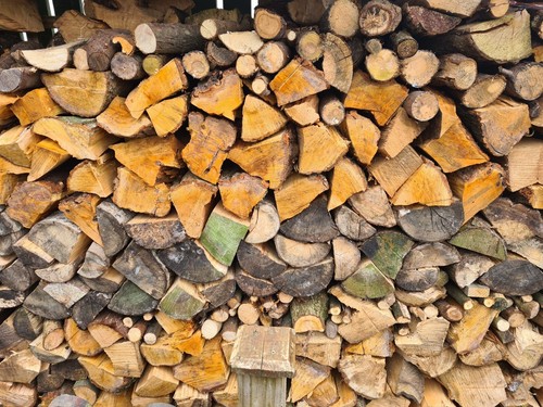 Unseasoned softwood logs - ,