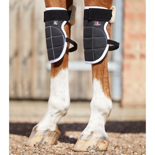 Premier equine magni teque - premier, magni-teque