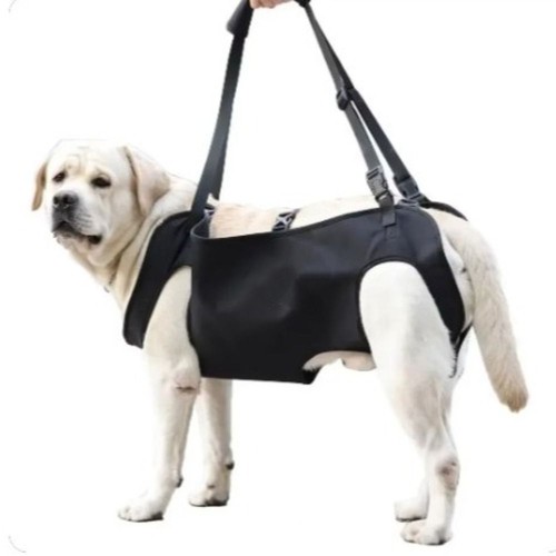 Adjustable strap dog lift - strap,